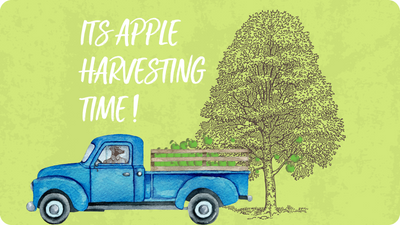 It’s Apple Harvesting Time!