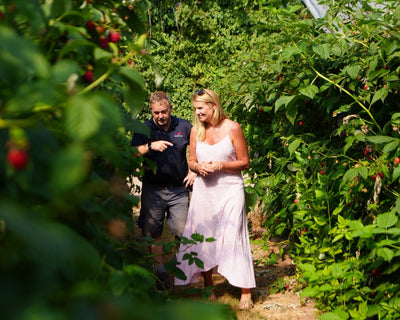 Meet the Growers: Windmill Hill Fruit Farm