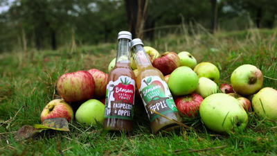 Bensons Best: The Apples That Make Our Juices Shine