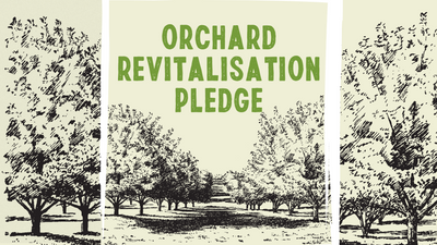 Bensons The Juicers’ Orchard Revitalisation Pledge