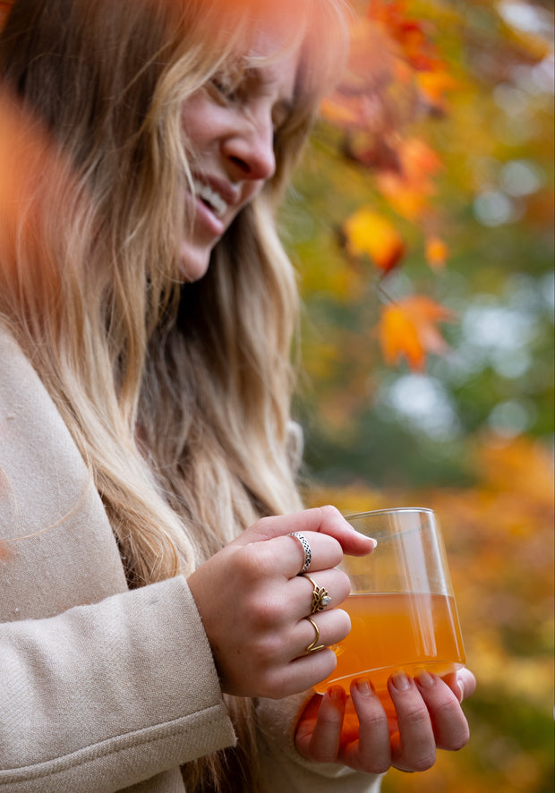 Bensons Winter Mulled Apple Juice